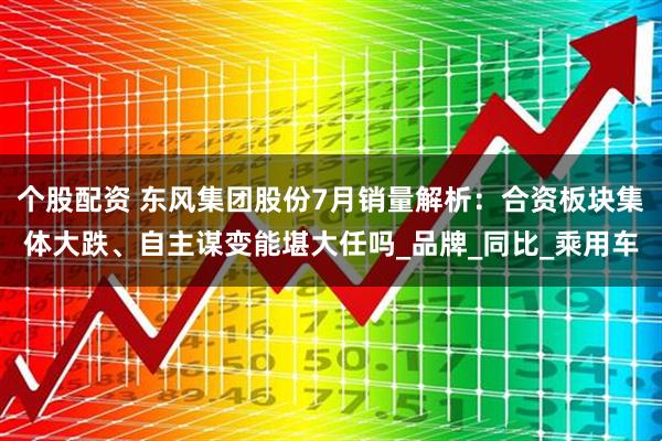 个股配资 东风集团股份7月销量解析：合资板块集体大跌、自主谋变能堪大任吗_品牌_同比_乘用车