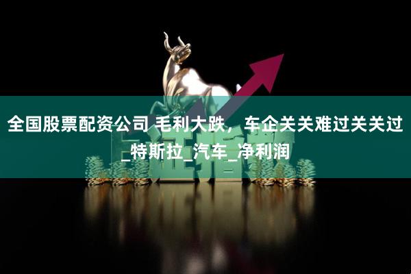 全国股票配资公司 毛利大跌，车企关关难过关关过_特斯拉_汽车_净利润